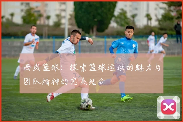 西岚篮球：探索篮球运动的魅力与团队精神的完美结合