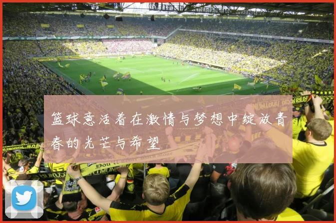 篮球意活着在激情与梦想中绽放青春的光芒与希望